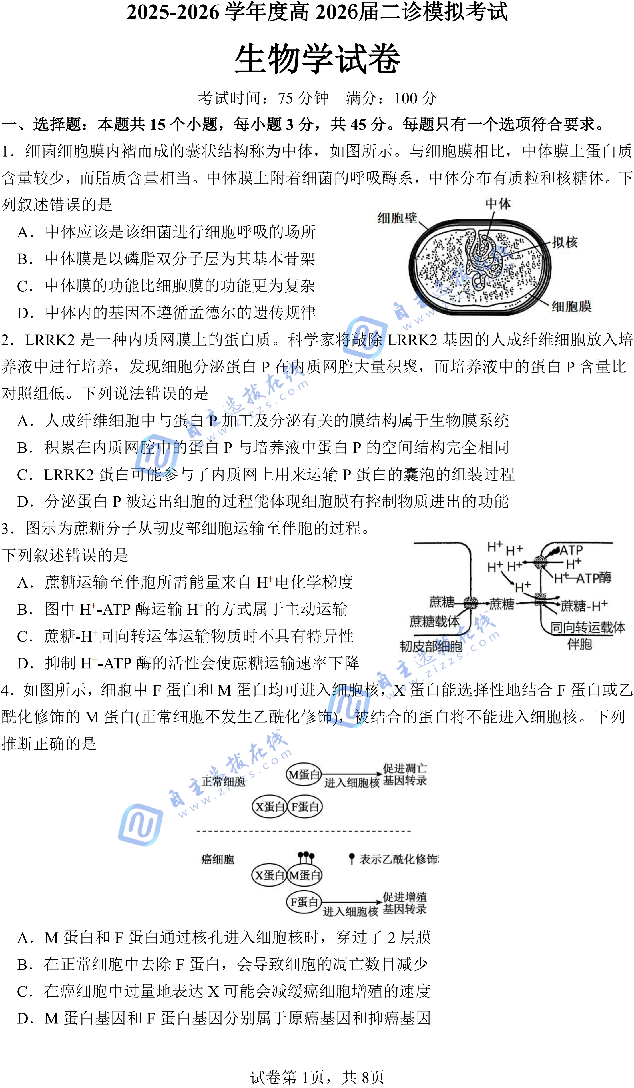 成都七中高2026届高三二诊模拟考生物试题及答案